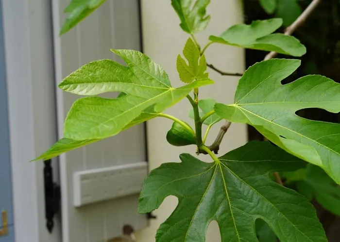 A La Maison - Epp Mint Otthon Ferienhaus *